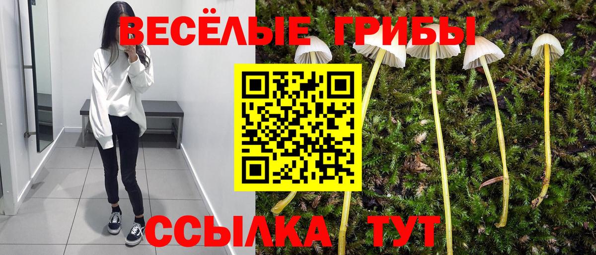 Среднеуральск  Галлюциногенные грибы ЛСД  Вход с VPN 