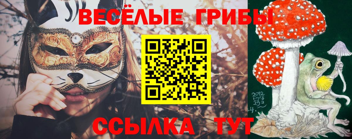 Галлюциногенные грибы Cubensis Среднеуральск